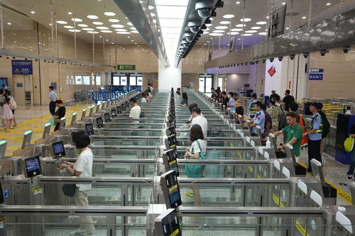 中國科技網 引領網絡技術服務創新，賦能數字中國建設